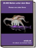 20.000 Meilen unter dem Meer (eBook, ePUB)