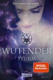 Wütender Sturm / Die Farben des Blutes Bd.4