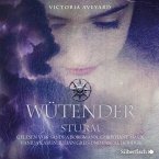 Wütender Sturm / Die Farben des Blutes Bd.4 (2 Audio-CDs, MP3 Format)