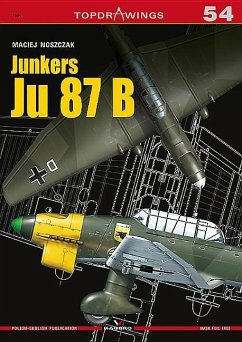 Junkers Ju 87 B - Noszczak, Maciej