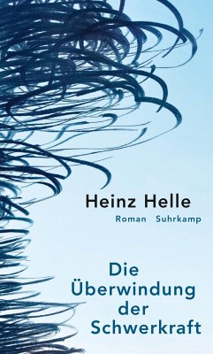 Die Überwindung der Schwerkraft (eBook, ePUB) - Helle, Heinz