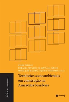 Cover Territórios socioambientais em construção na Amazônia brasileira (eBook, ePUB)