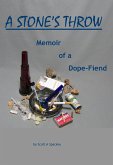 Stone's Throw, The True Story of a Wreckful Youth (eBook, ePUB)