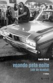 Voando pela noite (eBook, ePUB)