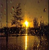 A DAY OF RAIN (eBook, ePUB)