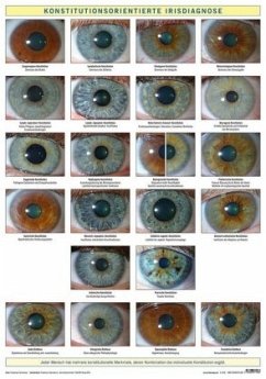 Konstitutionsorientierte Irisdiagnose, Wandtafel - Garvelmann, Friedemann