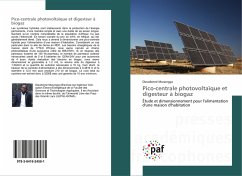 Pico-centrale photovoltaïque et digesteur à biogaz