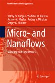Micro- and Nanoflows (eBook, PDF)