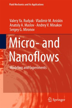 Micro- and Nanoflows (eBook, PDF) - Rudyak, Valery Ya.; Aniskin, Vladimir M.; Maslov, Anatoly A.; Minakov, Andrey V.; Mironov, Sergey G.