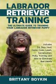 Labrador Retriever Training