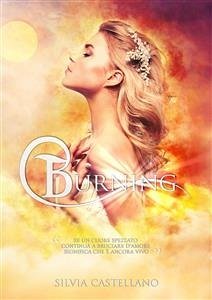 Burning (Amethyst #2) (eBook, ePUB) - Castellano, Silvia