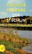 Der Stechlin (eBook, ePUB) - Bild 1