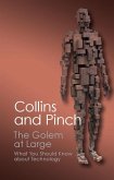 Golem at Large (eBook, ePUB)