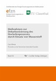 Maßnahmen zur Dekarbonisierung des Hochofenprozesses durch Einsatz von Wasserstoff (eBook, PDF)