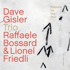 Rabbits On The Run - Gisler,Dave Trio