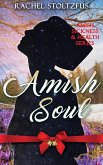 Amish Soul (Amish Sickness and Health) (eBook, ePUB)