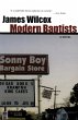 Modern Baptists (eBook, ePUB) - Bild 1