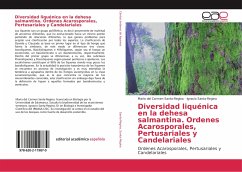 Diversidad liquénica en la dehesa salmantina. Ordenes Acarosporales, Pertusariales y Candelariales