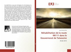 Réhabilitation de la route RR111 dans le Gouvernorat de Tataouine - Ebo, Jaures Evariste