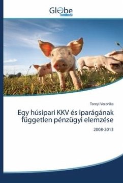 Egy húsipari KKV és iparágának független pénzügyi elemzése - Veronika, Tornyi