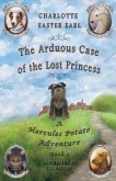 The Arduous Case of the Lost Princess (eBook, ePUB)