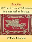 There Ends 101 Poems from My Lithuanian Soul That Seek to Be Sung (eBook, ePUB)