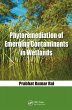 Phytoremediation of Emerging... - Bild 1