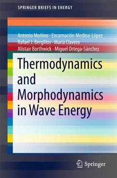 Thermodynamics and Morphodynamics in Wave Energy (eBook, PDF) - Moñino, Antonio; Medina-López, Encarnación; Bergillos, Rafael J.; Clavero, María; Borthwick, Alistair; Ortega-Sánchez, Miguel