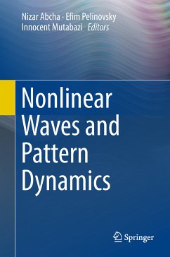 Nonlinear Waves and Pattern Dynamics (eBook, PDF)