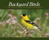 Backyard Birds (eBook, ePUB) - Bild 1