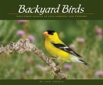 Backyard Birds (eBook, ePUB)