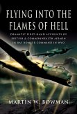 Flying into the Flames of Hell (eBook, ePUB)