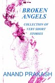 Broken Angels (Flash Fiction Series, #2) (eBook, ePUB)