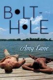 Bolt-hole (eBook, ePUB)