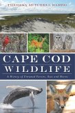Cape Cod Wildlife (eBook, ePUB)