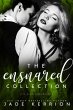 Ensnared Collection: Ensnared, Flawed,... - Bild 1