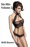 Sin Slits - Volume 2 (eBook, ePUB)