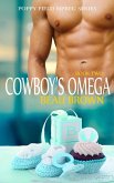 Cowboy's Omega (Poppy Field Mpreg Series, #2) (eBook, ePUB)
