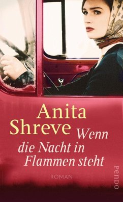 Wenn die Nacht in Flammen steht (eBook, ePUB) - Shreve, Anita