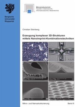 Mikro- und Nanostrukturierung / Erzeugung komplexer 3D-Strukturen mittels Nanoimprint-Kombinationstechniken - Steinberg, Christian