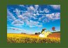 Tap und Tuk auf Entdeckungsreise - Bild 1