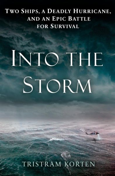 Into the Storm (eBook, ePUB) Into the Storm (eBook, ePUB)