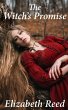 The Witch's Promise (eBook, ePUB) - Bild 1