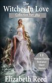 The Witches in Love Collection Part 3 & 4 (eBook, ePUB)