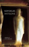 Sofokles Antigone (eBook, ePUB)