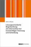 Lösungsorientierte Begutachtung als Intervention bei hochstrittiger Trennung und Scheidung (eBook, PDF)