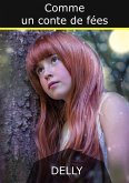 Comme un conte de fées (eBook, ePUB)
