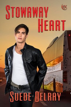 Cover Stowaway Heart (eBook, ePUB)