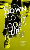 Been down so long it looks like up to me (eBook, ePUB)