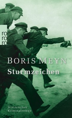 Sturmzeichen - Meyn, Boris
